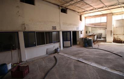 C21 MY MADRADAN EDREMİT'TE 3.900 M2 ARSA VE FABRİKA BİNASI