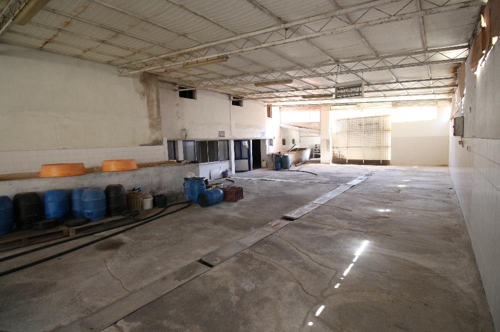 C21 MY MADRADAN EDREMİT'TE 3.900 M2 ARSA VE FABRİKA BİNASI