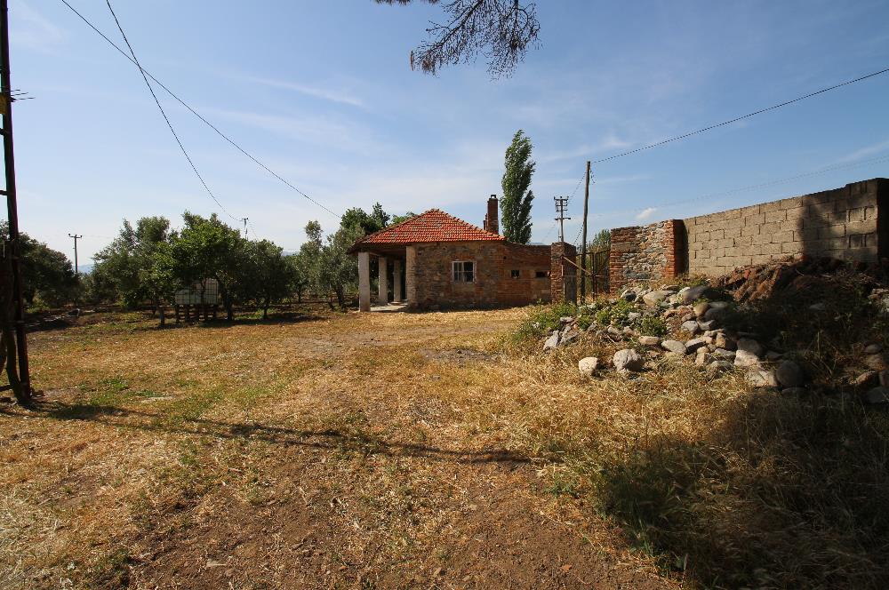 EDREMİT ÇIKRIKÇI MAH 74.000M2 MUHTEŞEM KONUMDA ZEYTİNİLİK