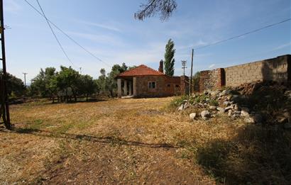 EDREMİT ÇIKRIKÇI MAH 74.000M2 MUHTEŞEM KONUMDA ZEYTİNİLİK