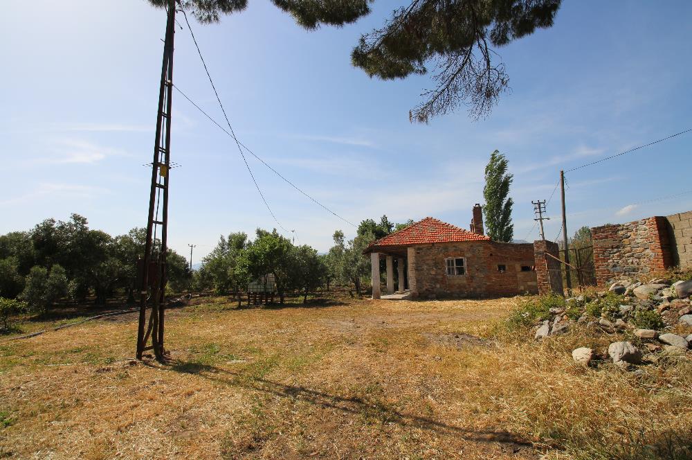 EDREMİT ÇIKRIKÇI MAH 74.000M2 MUHTEŞEM KONUMDA ZEYTİNİLİK