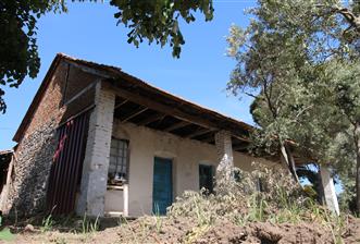 EDREMİT ÇIKRIKÇI MAH 74.000M2 MUHTEŞEM KONUMDA ZEYTİNİLİK