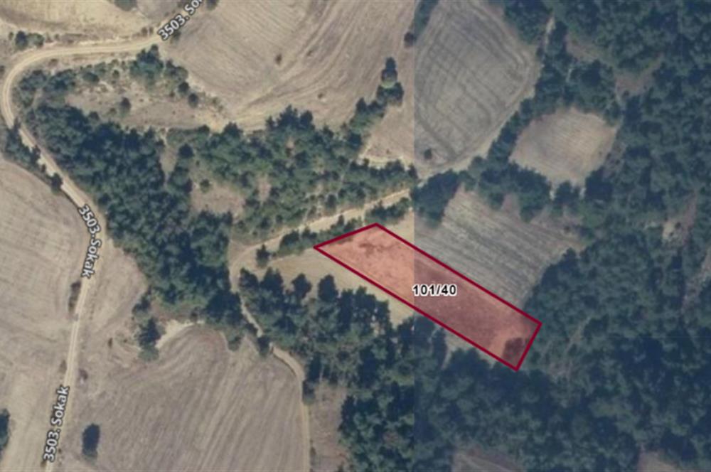 SAKARYA GEYVE KARACAÖREN’DE SATILIK 2.106 M2 TARLA