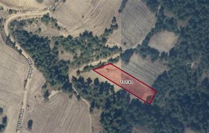 SAKARYA GEYVE KARACAÖREN’DE SATILIK 2.106 M2 TARLA