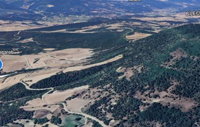 SAKARYA GEYVE KARACAÖREN’DE SATILIK 2.106 M2 TARLA