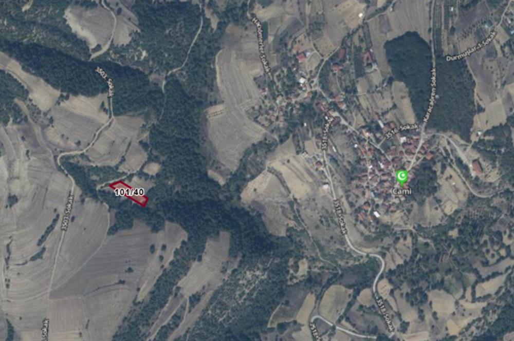 SAKARYA GEYVE KARACAÖREN’DE SATILIK 2.106 M2 TARLA