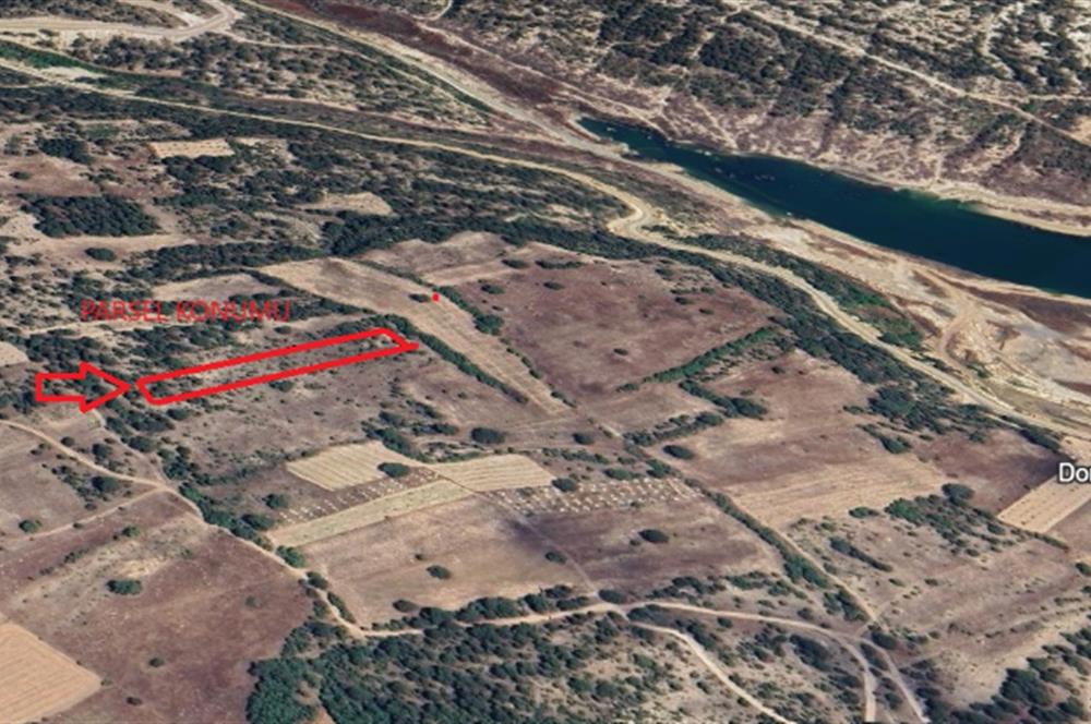 KÜTAKYA DOMANİÇ ÇAMLICA KÖYÜ YATIRIMLIK ARAZİ