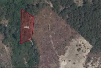 Bilecik Merkez Gülümbe Köyü'nde Değerli Fırsat Tarla