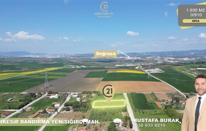 BANDIRMA YENİSIĞIRCI MAHALLESİNDE 1930 M2 İÇİNDE ZEYTİNLİK OLAN ARSA 