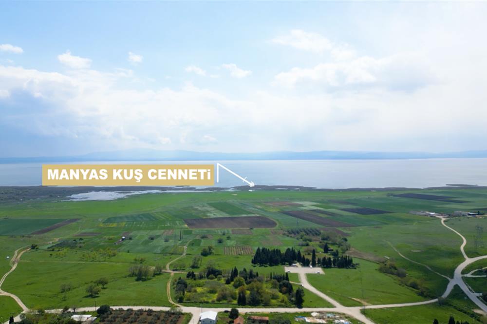BANDIRMA YENİSIĞIRCI MAHALLESİNDE 1930 M2 İÇİNDE ZEYTİNLİK OLAN ARSA 