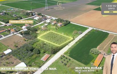 BANDIRMA YENİSIĞIRCI MAHALLESİNDE 1930 M2 İÇİNDE ZEYTİNLİK OLAN ARSA 