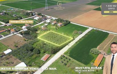 BANDIRMA YENİSIĞIRCI MAHALLESİNDE 1930 M2 İÇİNDE ZEYTİNLİK OLAN ARSA 