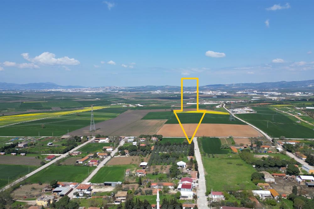 BANDIRMA YENİSIĞIRCI MAHALLESİNDE 1930 M2 İÇİNDE ZEYTİNLİK OLAN ARSA 