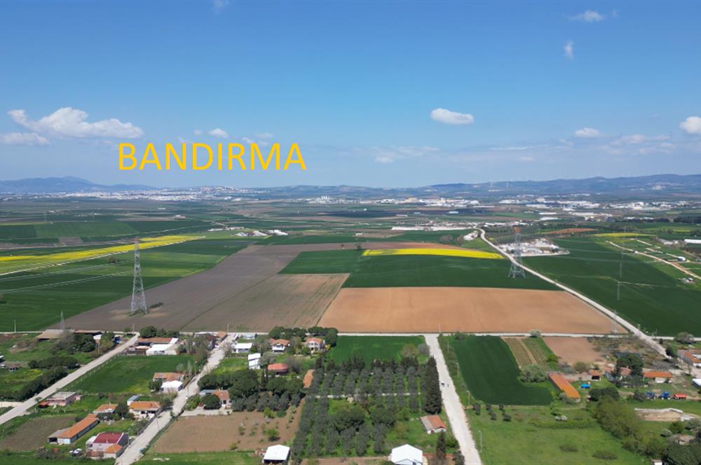 BANDIRMA YENİSIĞIRCI MAHALLESİNDE 1930 M2 İÇİNDE ZEYTİNLİK OLAN ARSA 