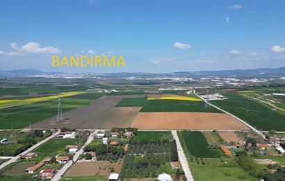 BANDIRMA YENİSIĞIRCI MAHALLESİNDE 1930 M2 İÇİNDE ZEYTİNLİK OLAN ARSA 