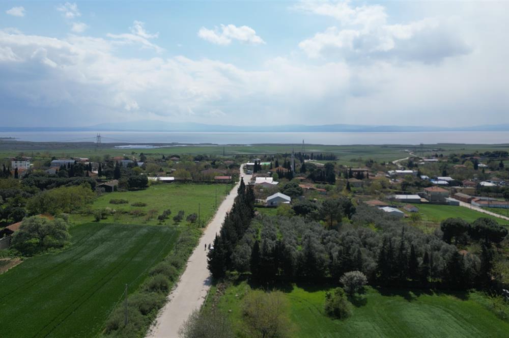 BANDIRMA YENİSIĞIRCI MAHALLESİNDE 1930 M2 İÇİNDE ZEYTİNLİK OLAN ARSA 