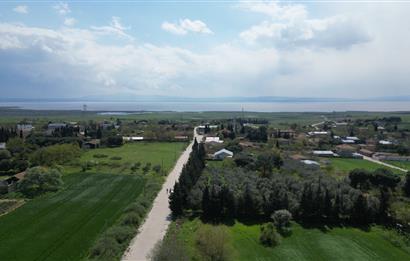 BANDIRMA YENİSIĞIRCI MAHALLESİNDE 1930 M2 İÇİNDE ZEYTİNLİK OLAN ARSA 