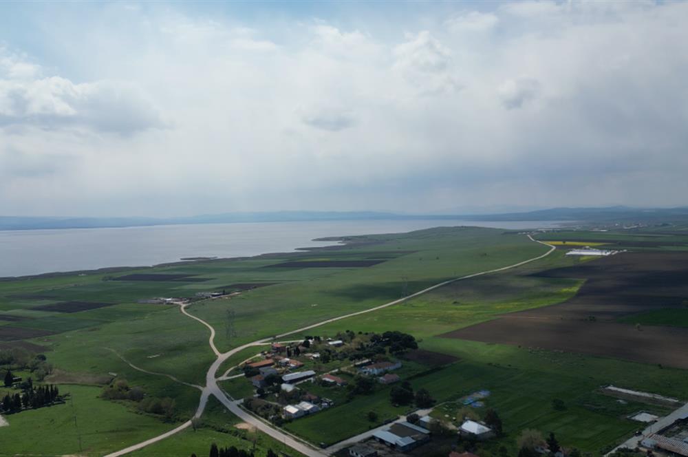 BANDIRMA YENİSIĞIRCI MAHALLESİNDE 1930 M2 İÇİNDE ZEYTİNLİK OLAN ARSA 