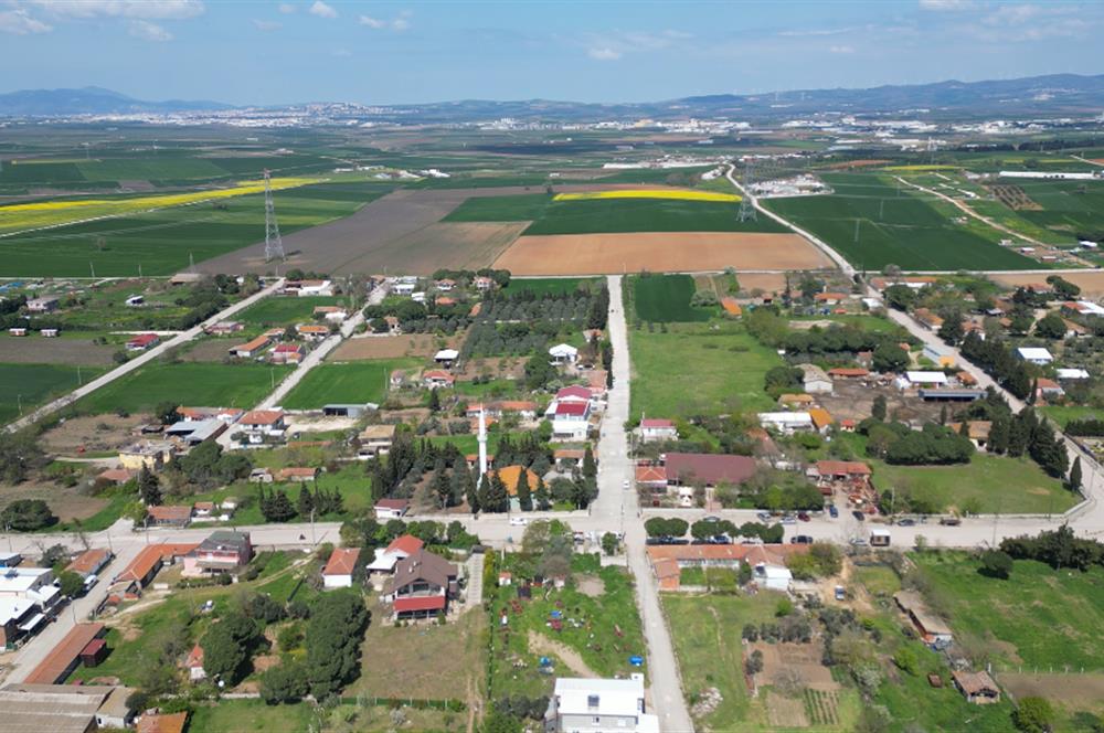 BANDIRMA YENİSIĞIRCI MAHALLESİNDE 1930 M2 İÇİNDE ZEYTİNLİK OLAN ARSA 
