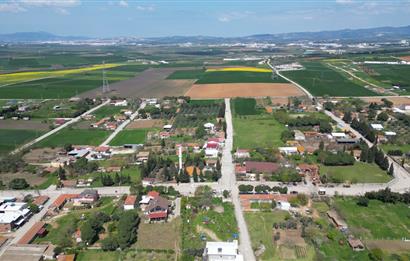 BANDIRMA YENİSIĞIRCI MAHALLESİNDE 1930 M2 İÇİNDE ZEYTİNLİK OLAN ARSA 