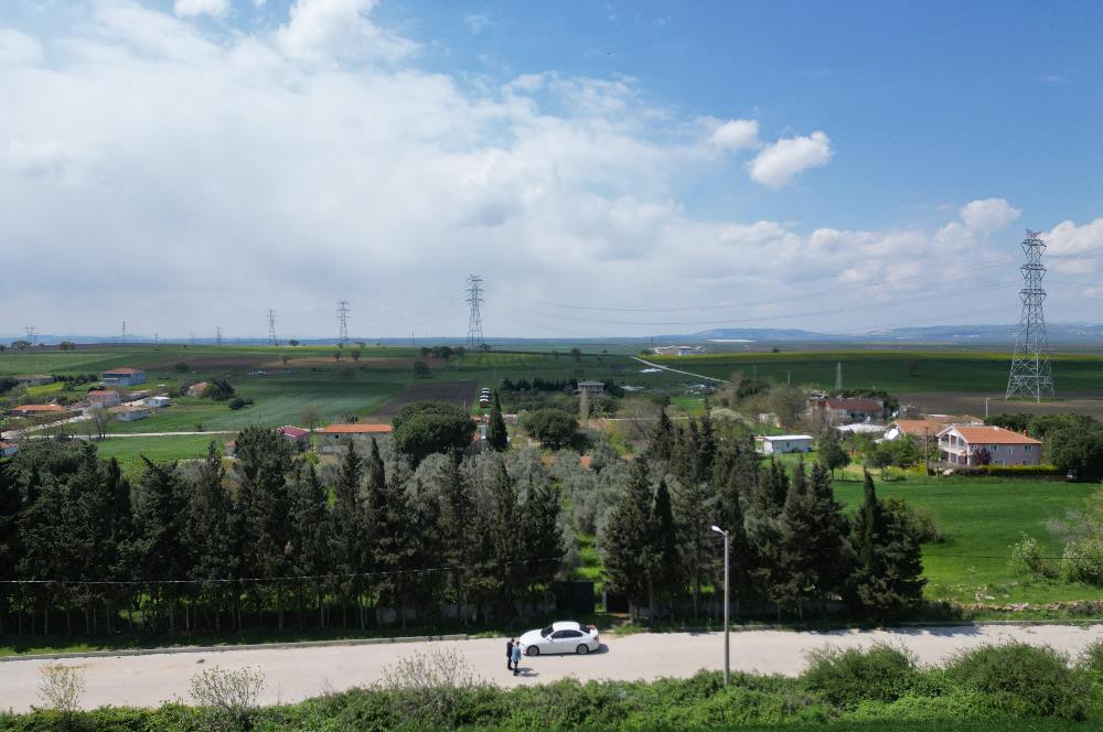 BANDIRMA YENİSIĞIRCI MAHALLESİNDE 1930 M2 İÇİNDE ZEYTİNLİK OLAN ARSA 