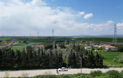 BANDIRMA YENİSIĞIRCI MAHALLESİNDE 1930 M2 İÇİNDE ZEYTİNLİK OLAN ARSA 