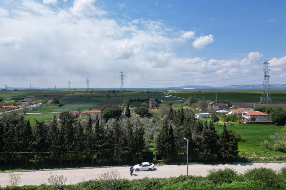 BANDIRMA YENİSIĞIRCI MAHALLESİNDE 1930 M2 İÇİNDE ZEYTİNLİK OLAN ARSA 