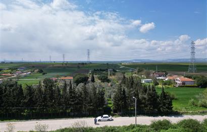 BANDIRMA YENİSIĞIRCI MAHALLESİNDE 1930 M2 İÇİNDE ZEYTİNLİK OLAN ARSA 