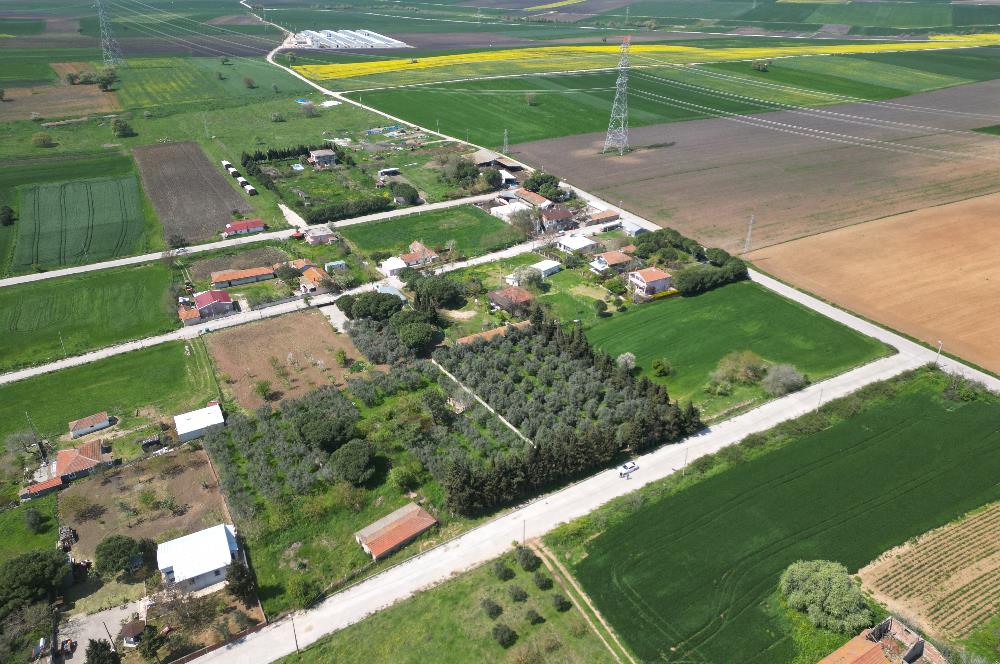 BANDIRMA YENİSIĞIRCI MAHALLESİNDE 1930 M2 İÇİNDE ZEYTİNLİK OLAN ARSA 