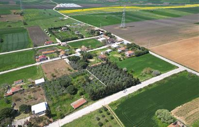 BANDIRMA YENİSIĞIRCI MAHALLESİNDE 1930 M2 İÇİNDE ZEYTİNLİK OLAN ARSA 