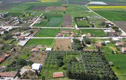 BANDIRMA YENİSIĞIRCI MAHALLESİNDE 1930 M2 İÇİNDE ZEYTİNLİK OLAN ARSA 
