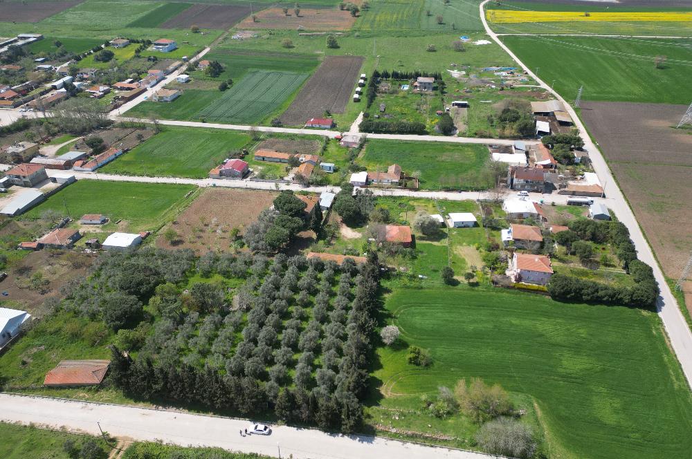 BANDIRMA YENİSIĞIRCI MAHALLESİNDE 1930 M2 İÇİNDE ZEYTİNLİK OLAN ARSA 