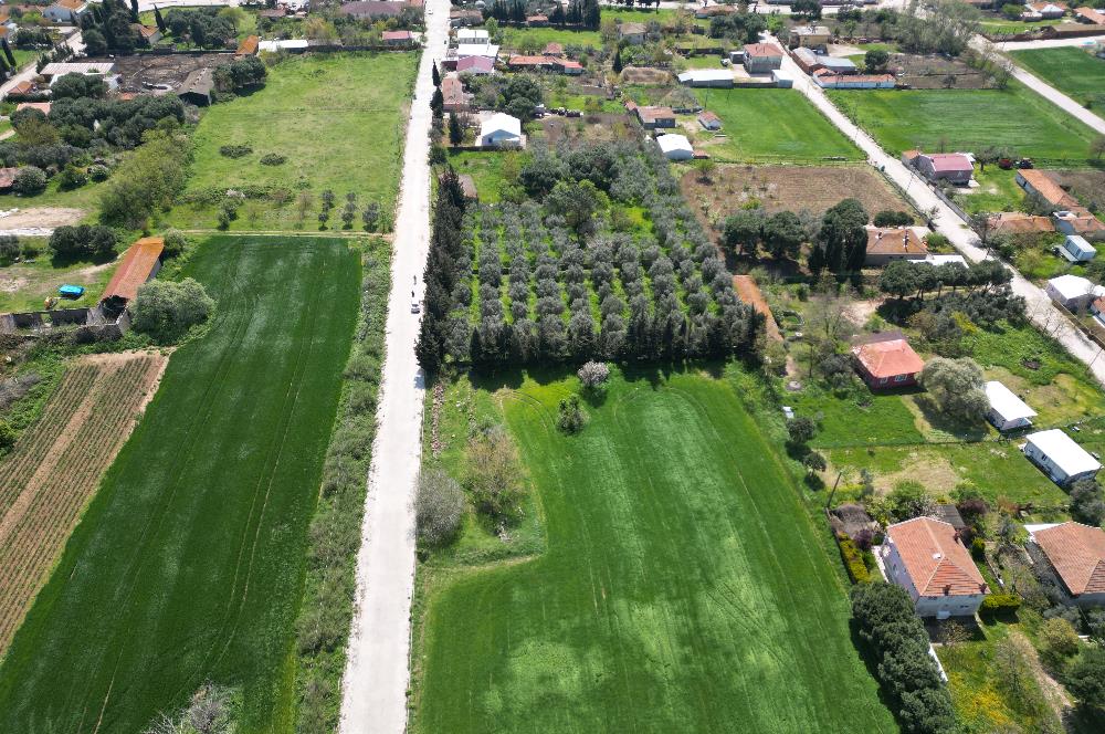 BANDIRMA YENİSIĞIRCI MAHALLESİNDE 1930 M2 İÇİNDE ZEYTİNLİK OLAN ARSA 