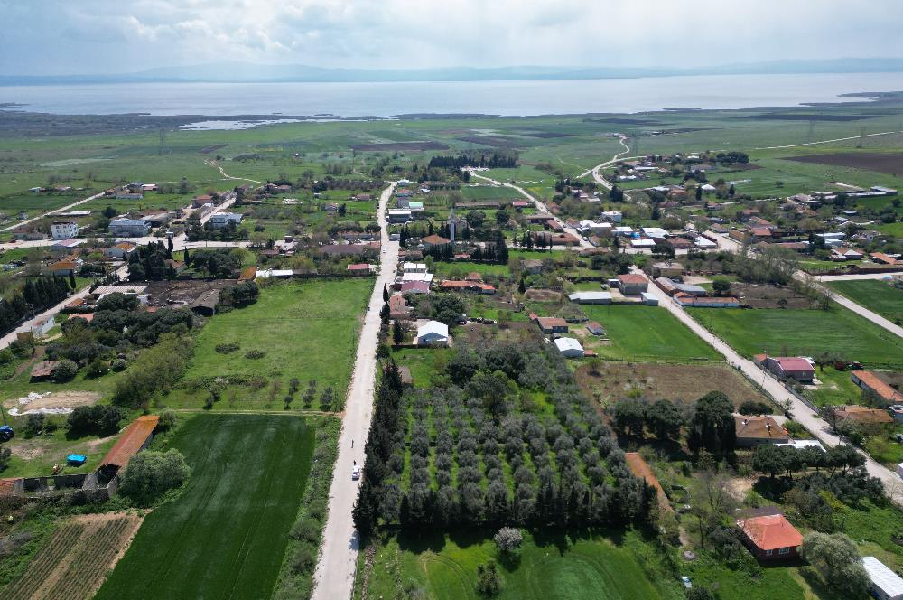 BANDIRMA YENİSIĞIRCI MAHALLESİNDE 1930 M2 İÇİNDE ZEYTİNLİK OLAN ARSA 