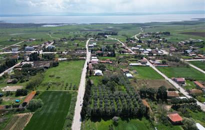 BANDIRMA YENİSIĞIRCI MAHALLESİNDE 1930 M2 İÇİNDE ZEYTİNLİK OLAN ARSA 