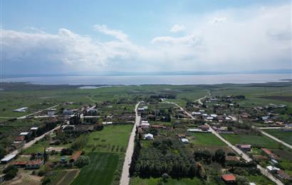 BANDIRMA YENİSIĞIRCI MAHALLESİNDE 1930 M2 İÇİNDE ZEYTİNLİK OLAN ARSA 