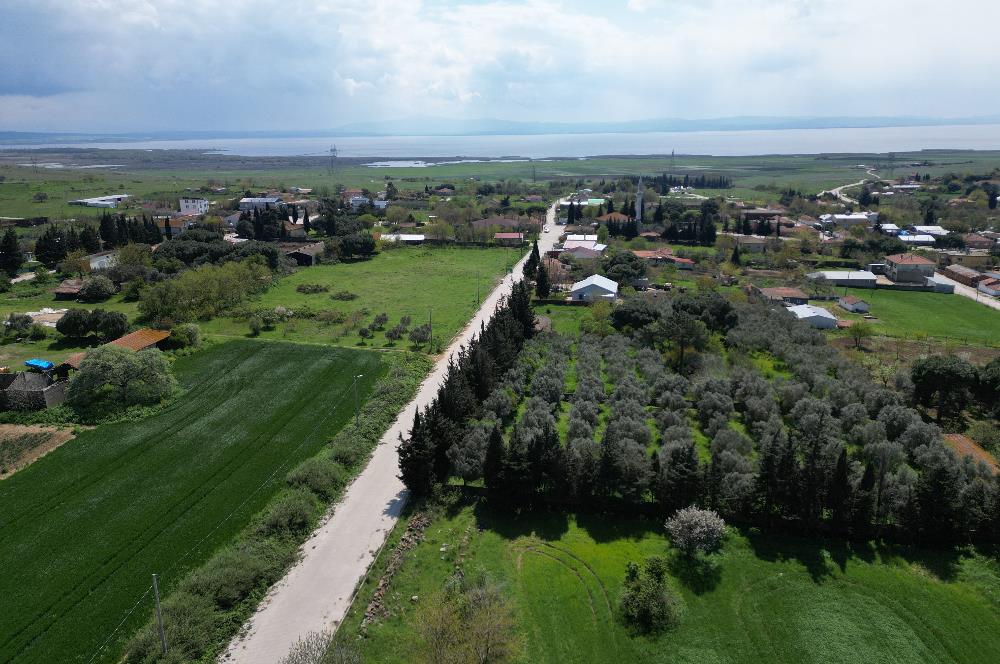 BANDIRMA YENİSIĞIRCI MAHALLESİNDE 1930 M2 İÇİNDE ZEYTİNLİK OLAN ARSA 