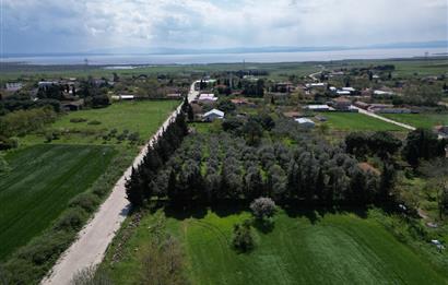 BANDIRMA YENİSIĞIRCI MAHALLESİNDE 1930 M2 İÇİNDE ZEYTİNLİK OLAN ARSA 