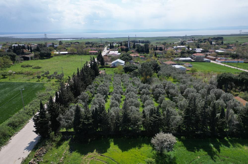 BANDIRMA YENİSIĞIRCI MAHALLESİNDE 1930 M2 İÇİNDE ZEYTİNLİK OLAN ARSA 