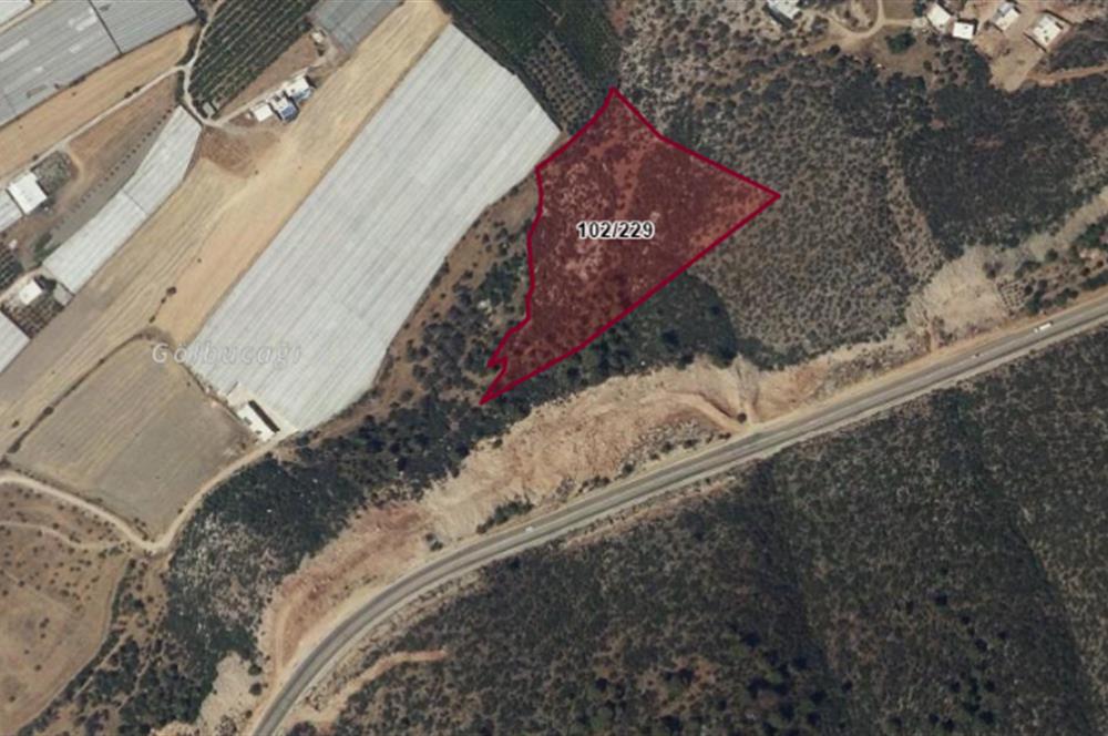 KAŞ YEŞİLKÖY'DE DENİZE 1 KM MESAFEDE ARSA