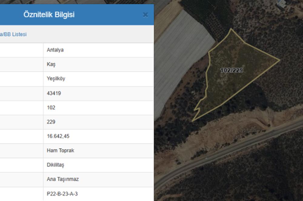 KAŞ YEŞİLKÖY'DE DENİZE 1 KM MESAFEDE ARSA