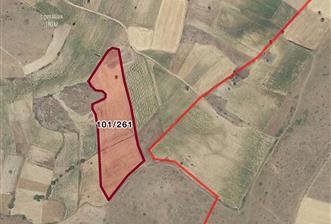C21 LOCA'DAN BALIKESİR KARABEYLER'DE TARLA 