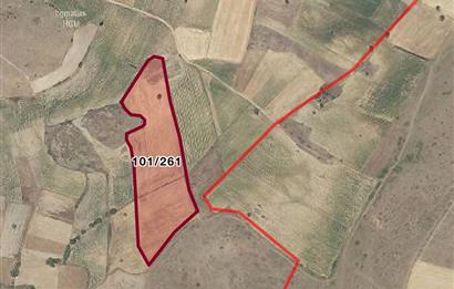 C21 LOCA'DAN BALIKESİR KARABEYLER'DE TARLA 