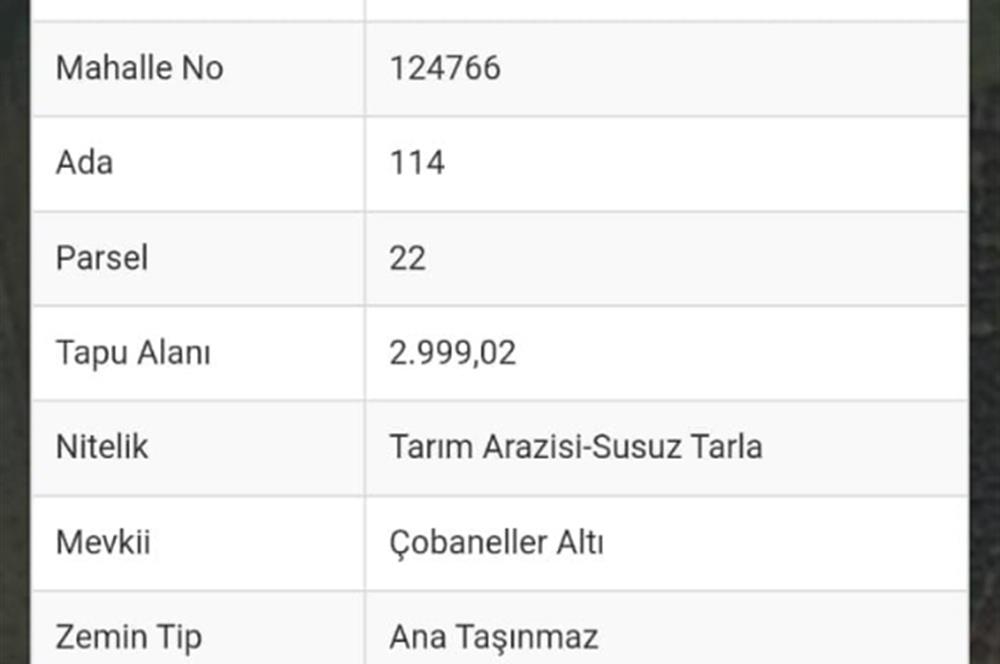 KOCAELİ KANDIRA SARIAHMETLER KÖYÜNDE SATILIK ARSA