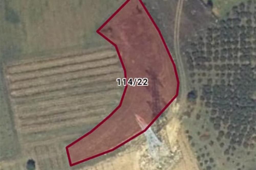 KOCAELİ KANDIRA SARIAHMETLER KÖYÜNDE SATILIK ARSA