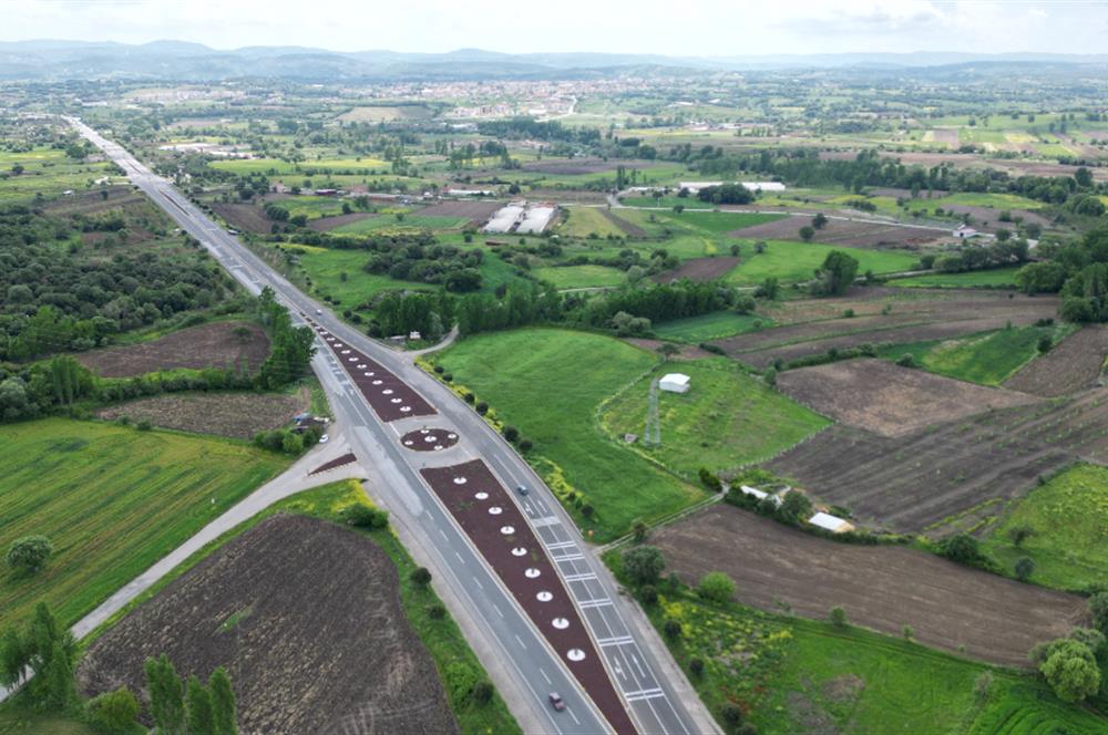 CENTURY 21 BAL'DAN EDREMİT ASFALTINA CEPHE SATILIK TARLA 