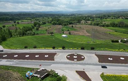 CENTURY 21 BAL'DAN EDREMİT ASFALTINA CEPHE SATILIK TARLA 
