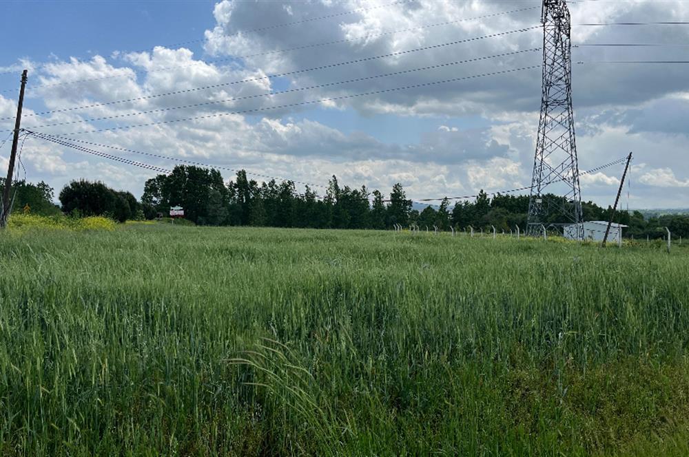 CENTURY 21 BAL'DAN EDREMİT ASFALTINA CEPHE SATILIK TARLA 