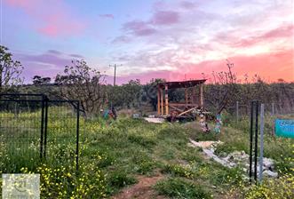 C21 NOVO'DAN MUDANYA ÇEPNİ MAH: SATILIK ARAZİ