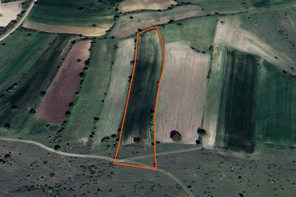 CENTURY BAL'DAN KESİRVENDE 6092 M2 SATILIK TARLA